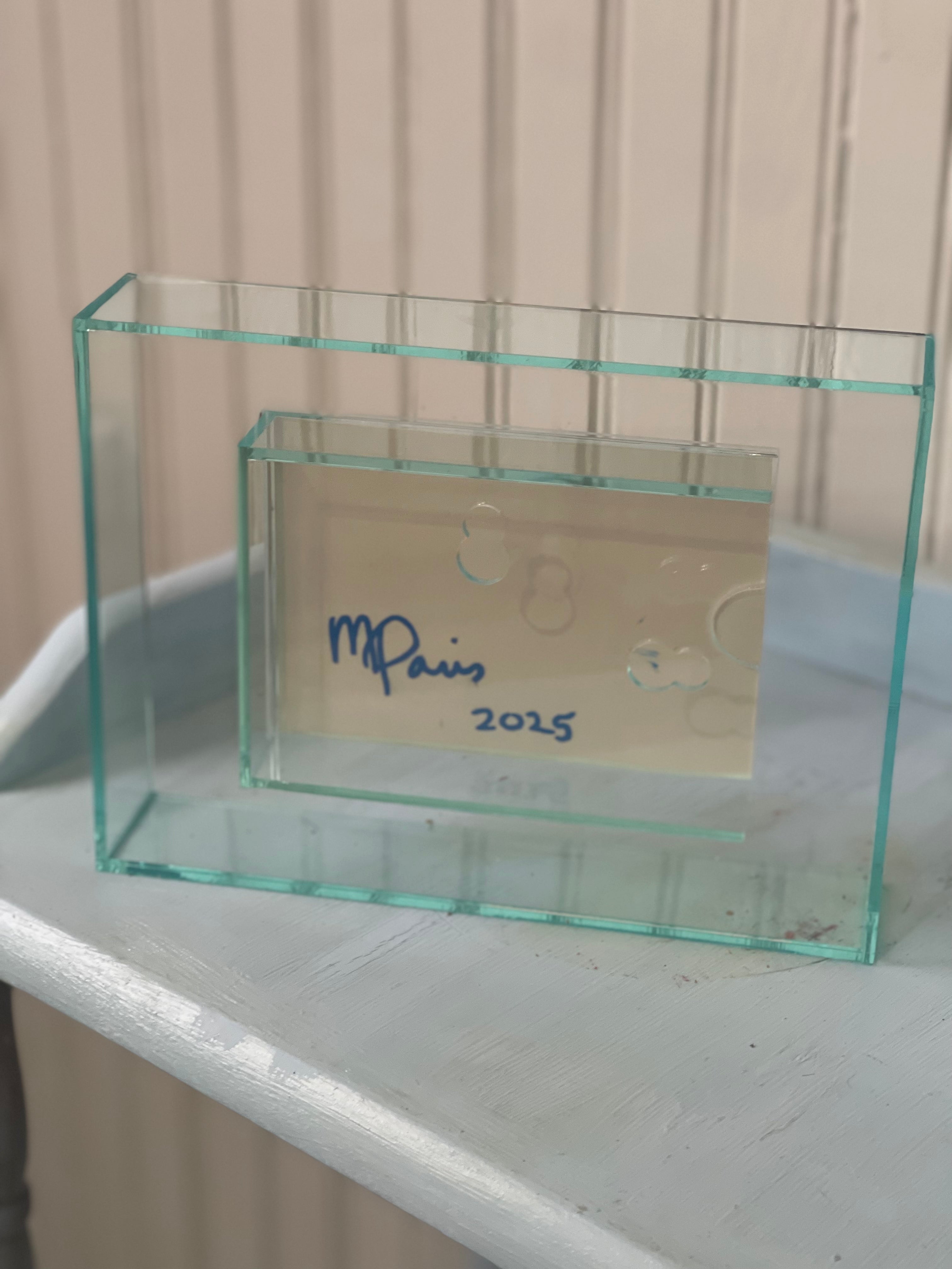 "SWAN LOVE" Original Art Work by Mandi Paris in Acrylic Frame